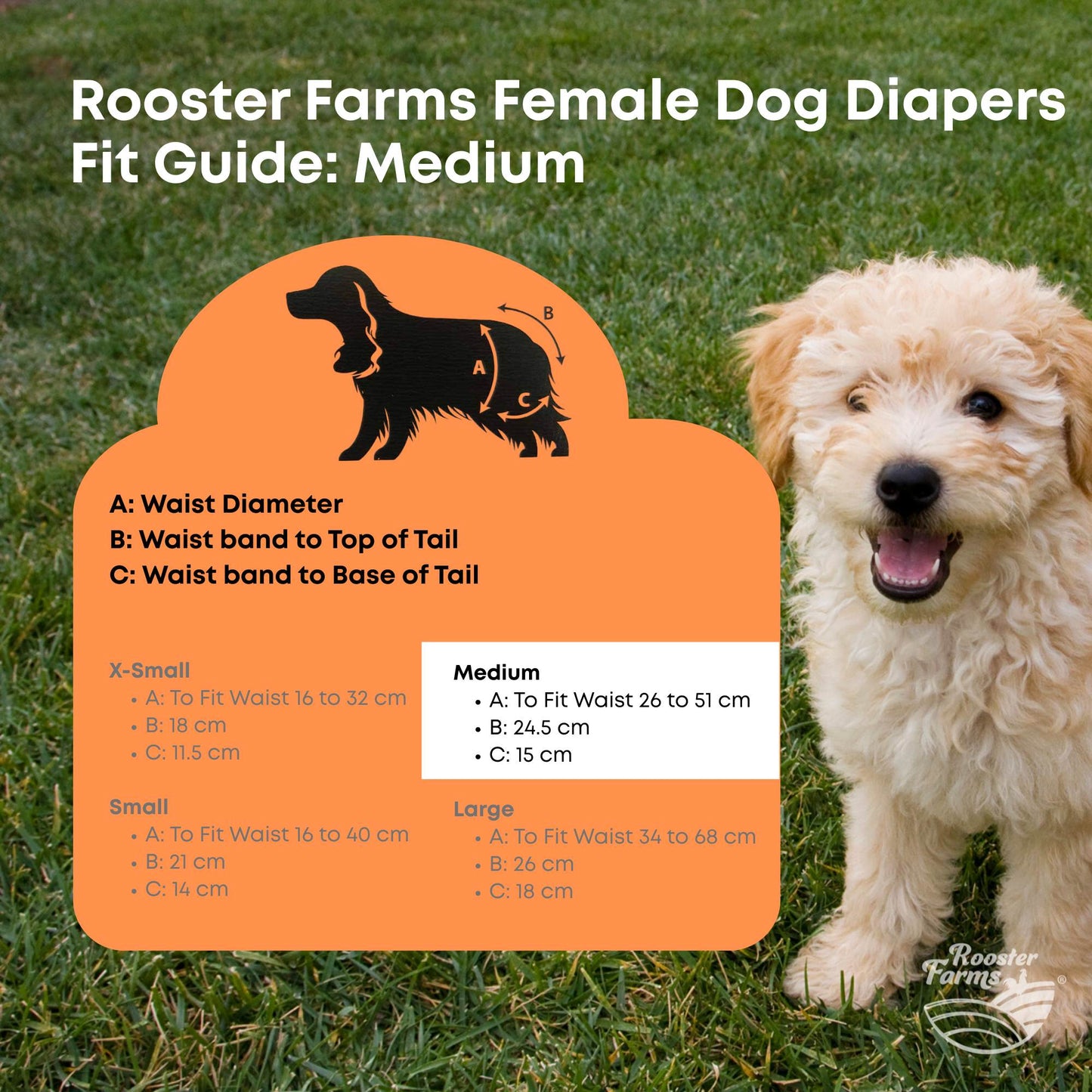 Rooster Farms Female Dog Diapers Medium 3Pk - Washable Reusable Nappy Hook/Loop - Product image 9