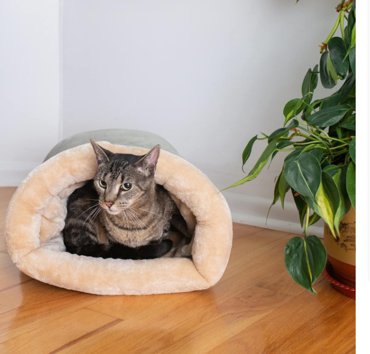 Cat Bed - Cat Basket - Winter Warm - Pet Basket - Autumn/Winter Dog Bed - Pet Cat - Puppy - Cat Bed - Warm - 65*48cm - Product image 2