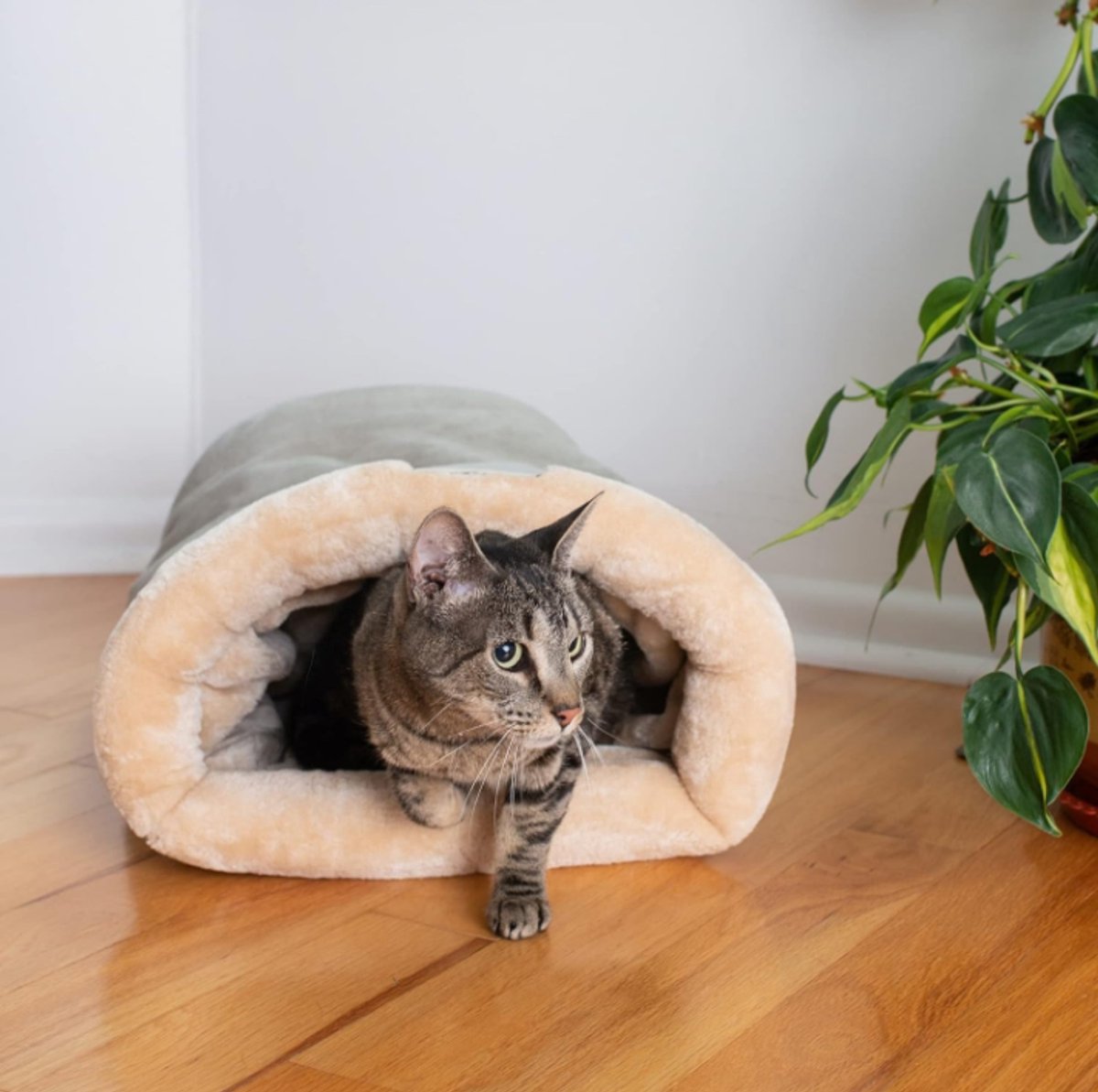 Cat Bed - Cat Basket - Winter Warm - Pet Basket - Autumn/Winter Dog Bed - Pet Cat - Puppy - Cat Bed - Warm - 65*48cm - Product image 3