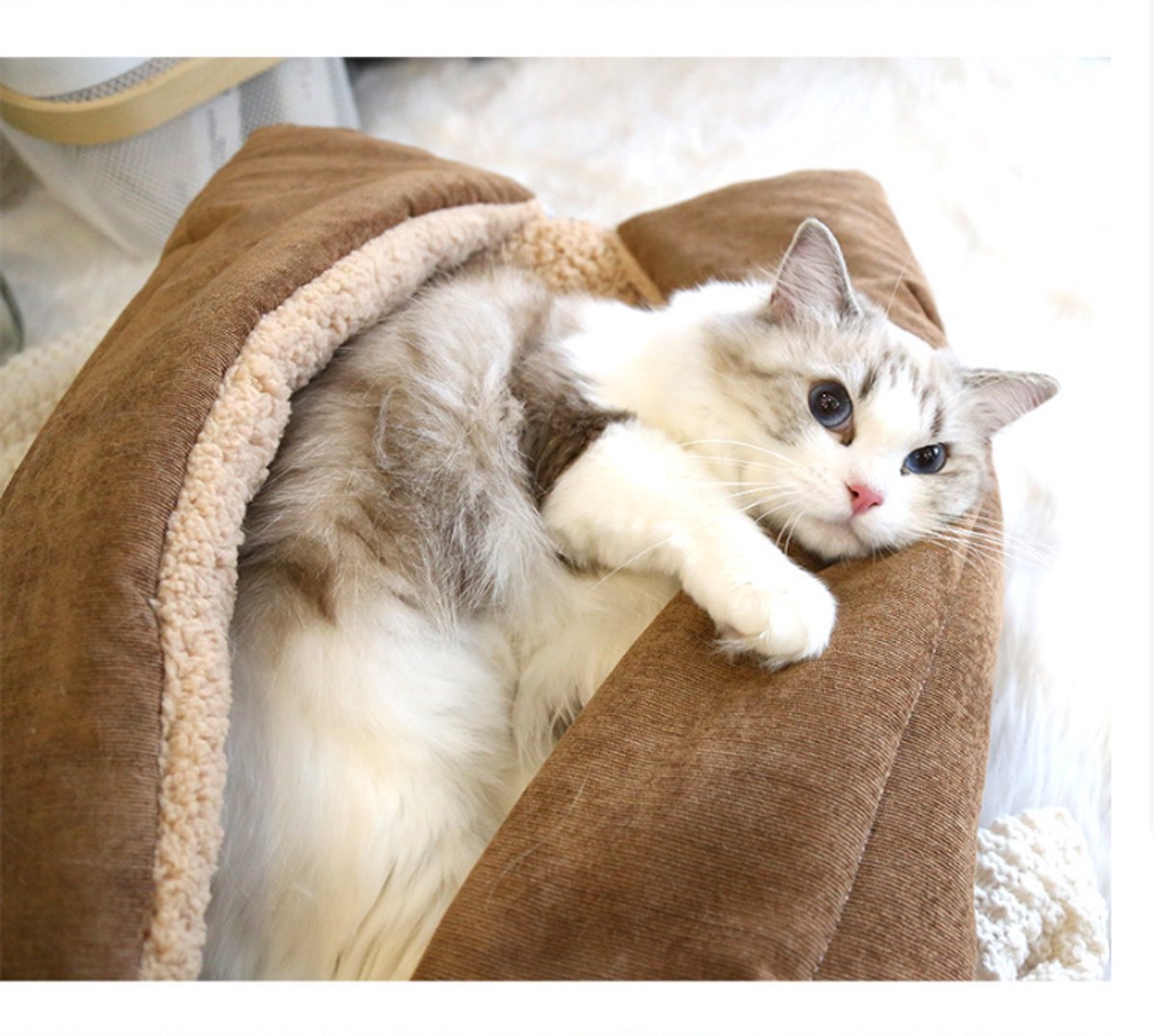 Dog Bed - Cat Bed - Dog Mat - 2-in-1 Warm Cat Bed - Pet Bed - Cat Sofa - Cat - Soft and Fluffy - 70*50cm - Product image 4