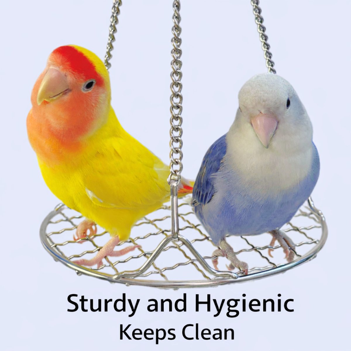 Stainless Steel Bird Toys - Small Pet Toys - Hanging Bird Cage Accessories - Suitable for Various Birds - For Balance Training of Small Parrots, Hamsters, etc. - Product image 2