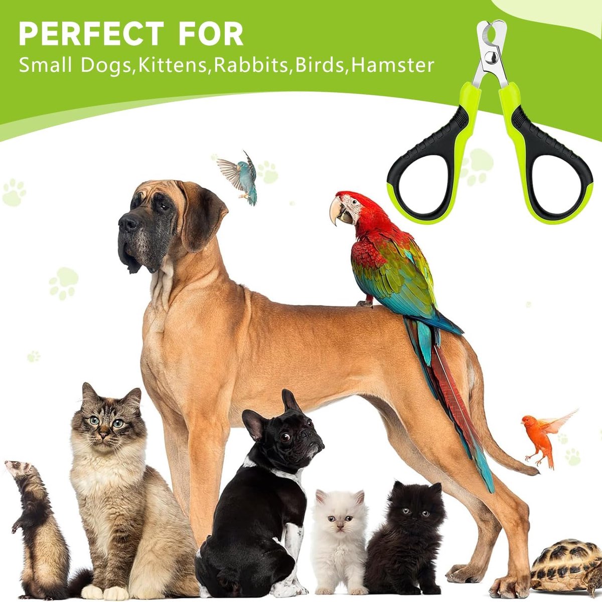 Pet Nail Clippers - Professional Pet Nail Clippers - Scissors - Stainless Steel - Cat Nail Clippers - Suitable for Small Dogs, Puppies, and Cats - Product image 3