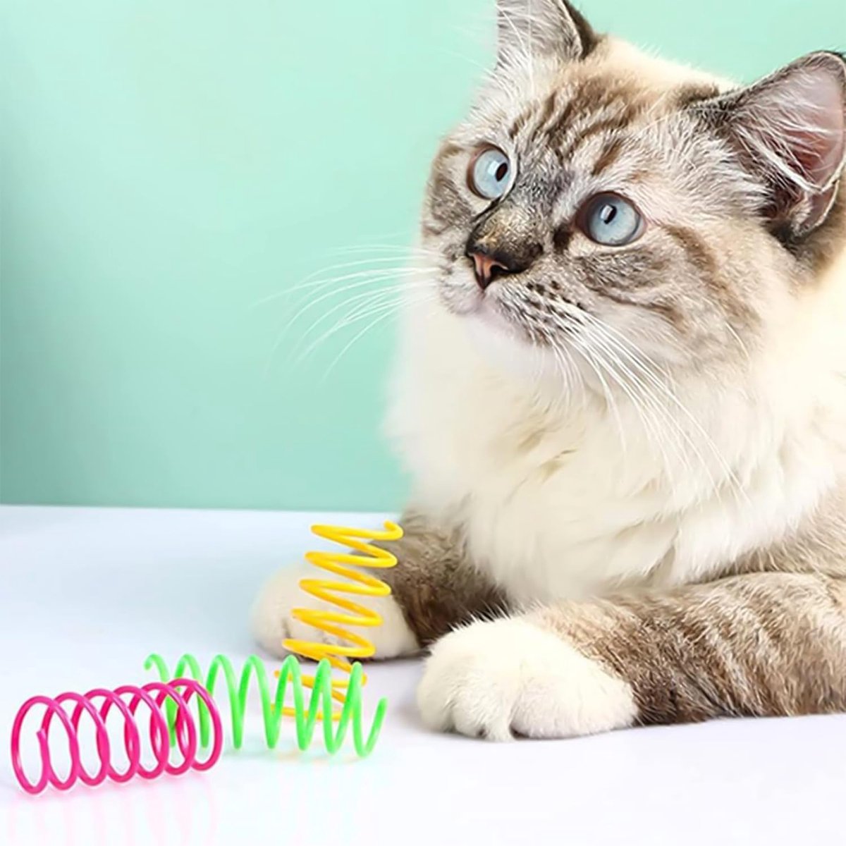 Cat Feather Toys - 24 Feather Toys - Cat Feather Toys - Toy Feathers - Pet Novelty Toys - Colorful Feathers - Feathers for Cats - Product image 5
