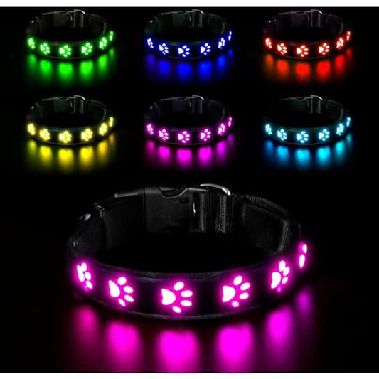 LED Luminous Dog Collar, Rechargeable and Waterproof Dog Collar, Adjustable Collar with 7 Light Modes (Colorful-M) - Main product image