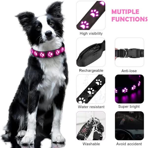 LED Luminous Dog Collar, Rechargeable and Waterproof Dog Collar, Adjustable Collar with 7 Light Modes (Colorful-M) - Product image 2