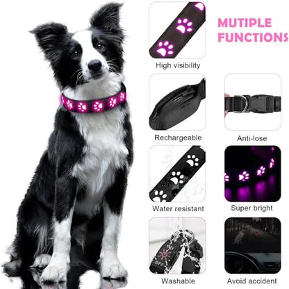 LED Luminous Dog Collar, Rechargeable and Waterproof Dog Collar, Adjustable Collar with 7 Light Modes (Colorful-M) - Product image 2