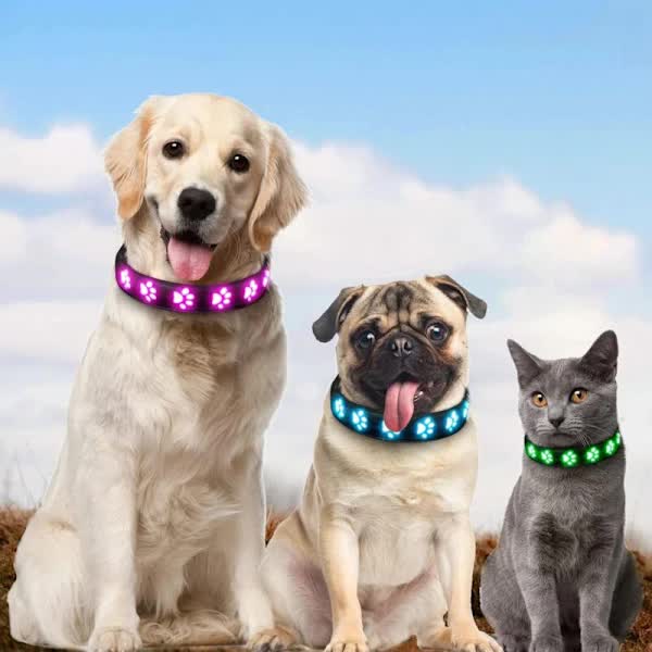 LED Luminous Dog Collar, Rechargeable and Waterproof Dog Collar, Adjustable Collar with 7 Light Modes (Colorful-M) - Product image 3