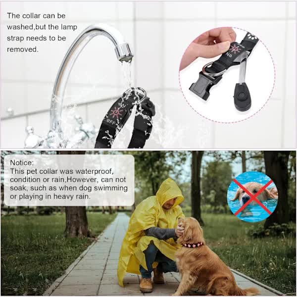 LED Luminous Dog Collar, Rechargeable and Waterproof Dog Collar, Adjustable Collar with 7 Light Modes (Colorful-M) - Product image 4
