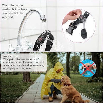 LED Luminous Dog Collar, Rechargeable and Waterproof Dog Collar, Adjustable Collar with 7 Light Modes (Colorful-M) - Product image 4