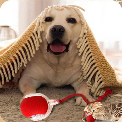 2 pcs 360° Smart Automatic Rolling Pet Ball, Rechargeable Irregular Movement for Cats & Dogs, Red - Product image 5