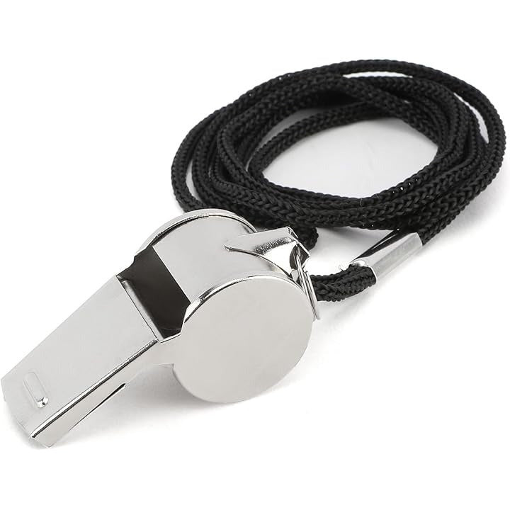 24 Pack Stainless Steel Whistles with Lanyards – Durable Loud Sports, Coaching, Referee, Party Favors, Outdoor Safety Whistles - Main product image