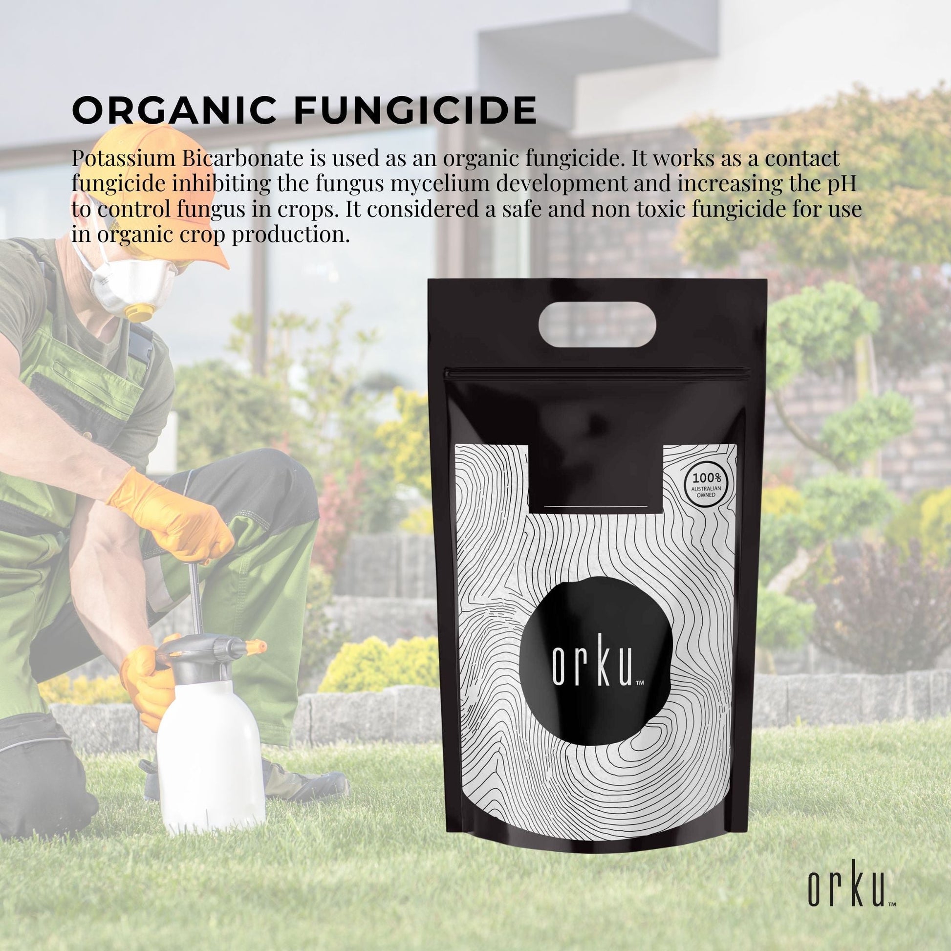 Bulk 10Kg Organic Potassium Bicarbonate Powder Food Grade FCC for Brewing Baking - Product image 6