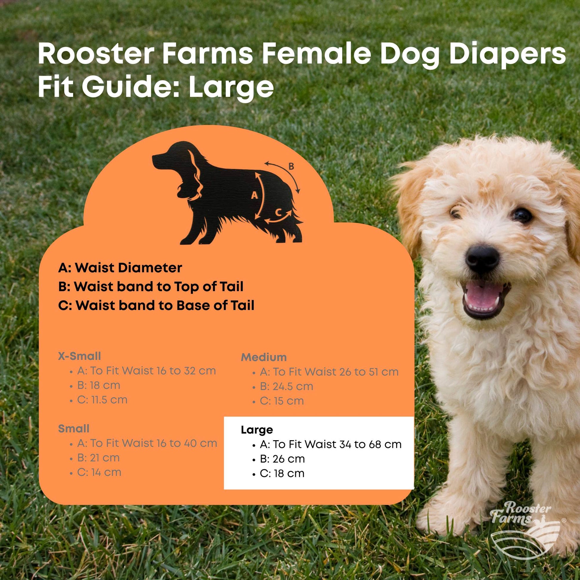Rooster Farms Female Dog Diapers Large 3Pk - Washable Reusable Nappies Hook/Loop - Product image 9