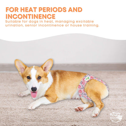 Rooster Farms Female Dog Diapers Large 3Pk - Washable Reusable Nappies Hook/Loop - Product image 5