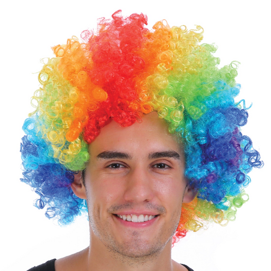 Mens DELUXE AFRO WIG Curly Hair Costume Party LGBTQ Disco 70s 80s Pride - Rainbow - Main product image