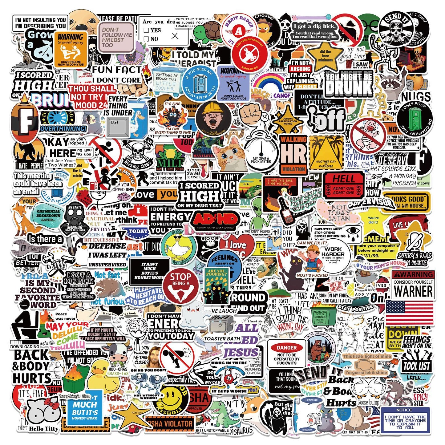 300 Pcs Prank Meme Graffiti Stickers Pack - Waterproof PVC Personalized Decals for Laptop, Luggage, Water Bottle DIY Decoration - Main product image