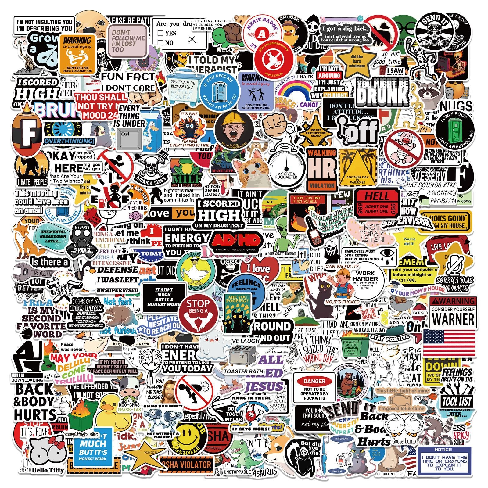 300 Pcs Prank Meme Graffiti Stickers Pack - Waterproof PVC Personalized Decals for Laptop, Luggage, Water Bottle DIY Decoration - Main product image
