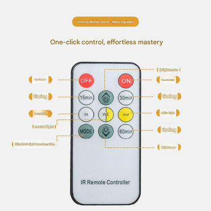 Silver Lucky Cat Rechargeable Desk Lamp with Sound and Aromatherapy Function Remote Control Eye Care Night Light for Local Home Bedroom and Modern Living Areas - Product image 4